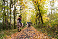 Ireland-Monaghan-Castle Leslie Equestrian Extravaganza